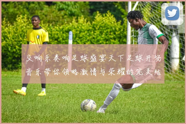 交响乐奏响足球盛宴天下足球开场音乐带你领略激情与荣耀的完美结合