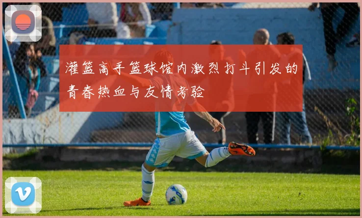 灌篮高手篮球馆内激烈打斗引发的青春热血与友情考验