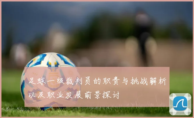 足球一级裁判员的职责与挑战解析以及职业发展前景探讨