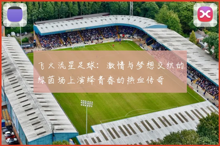 飞火流星足球：激情与梦想交织的绿茵场上演绎青春的热血传奇